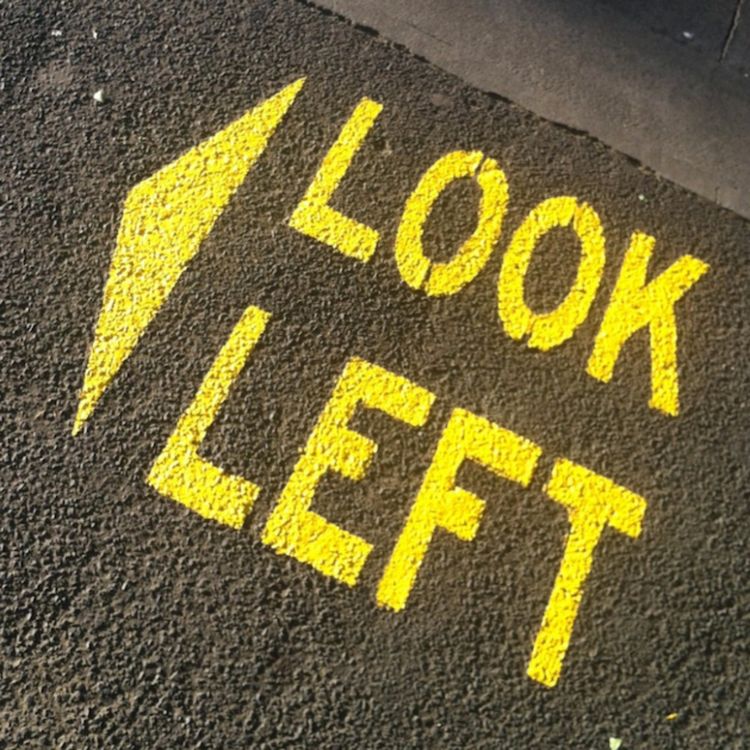 cover art for No Left Wing! (The utter absence of a Liberal party in the USA)