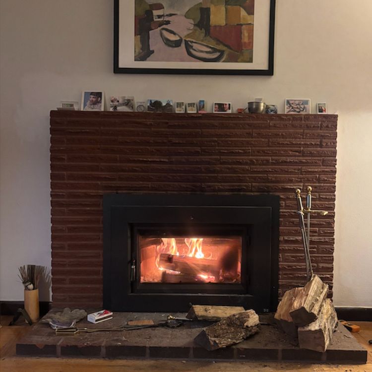 cover art for Philosophical Fireside Chats 🔥 🪵: Dharma (Guruspear) in the Mahabharata - Ep. 10