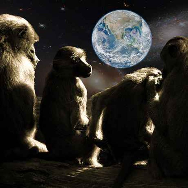 cover art for Primates In Space: Primates Make Tools - Ep. 2