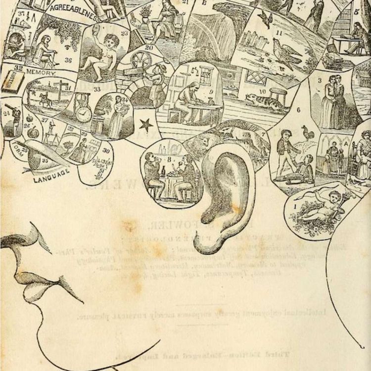 cover art for Cultivating The Intellect