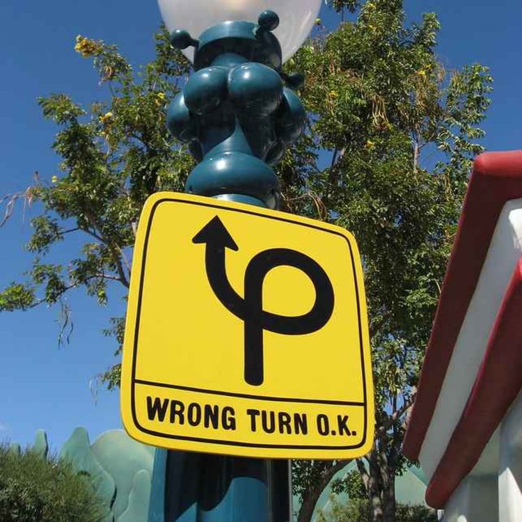 cover art for How to be Wrong and Why!