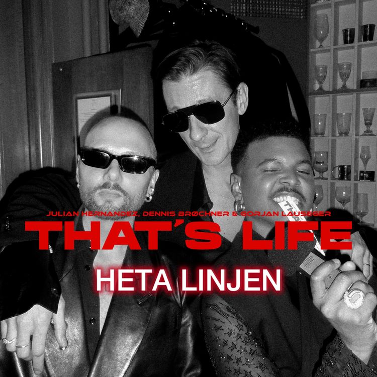 cover art for HETA LINJEN: Vi STÖR oss!!