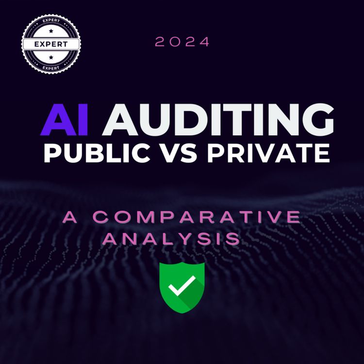 cover art for Public vs. Private Bodies in Advanced AI Auditing: A Comparative Analysis 