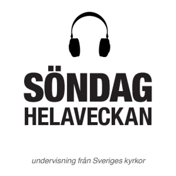 cover art for Rymlig plats (Dom.7)