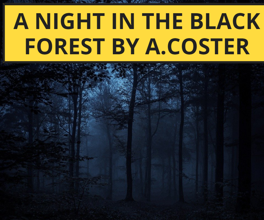 cover art for Short Story #15 - A Night In The Black Forest by A.Coster