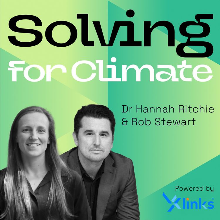 cover art for Duncan Walker: Will electric air taxis take off?