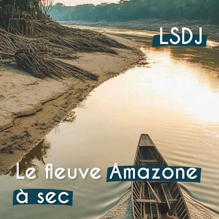 cover art for Un affluent du fleuve Amazone à un niveau historiquement bas