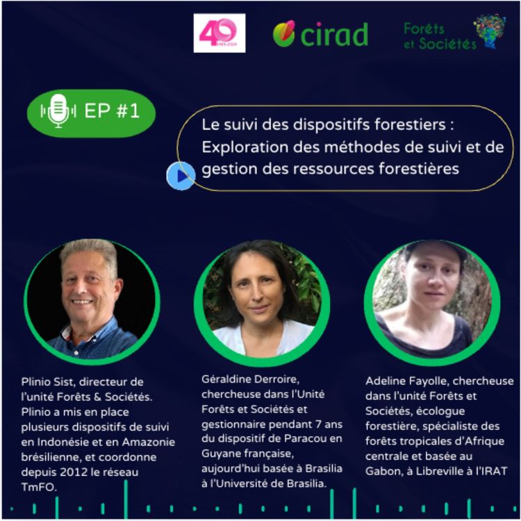 cover art for Le suivi des dispositifs forestiers