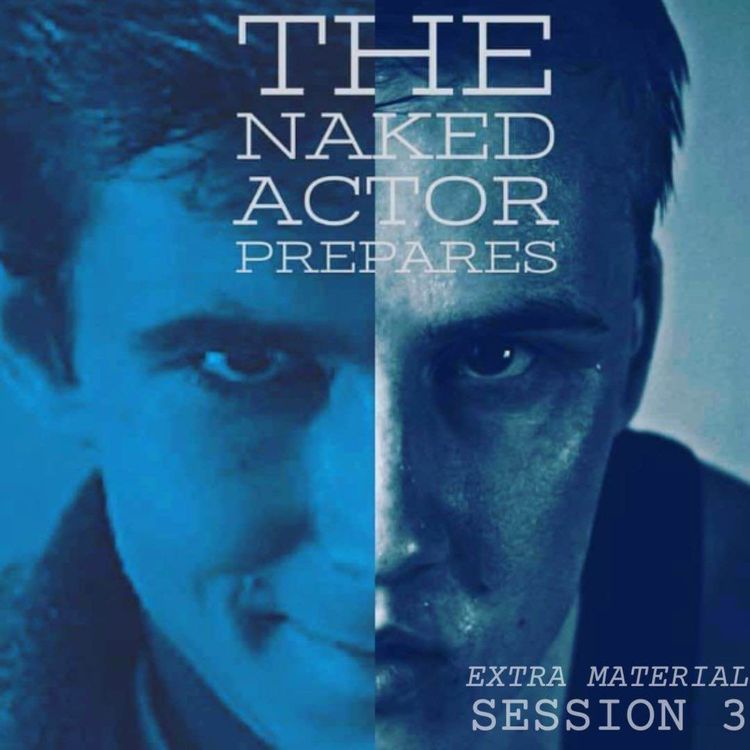 cover art for How to Stuff a Bird (in theory!) - Extra Material The Norman Session 3