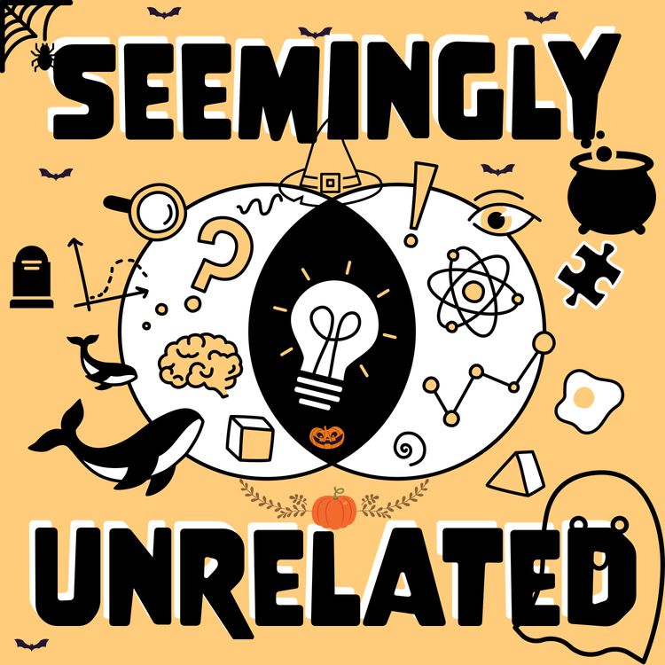 cover art for The True Terror Behind Witch Costumes