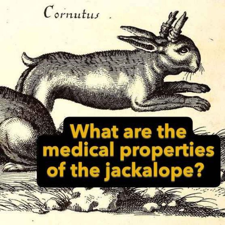 cover art for The Healing Power of Fake Creatures w/Phil W. Bayles 