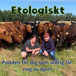 cover art for Etologiskt