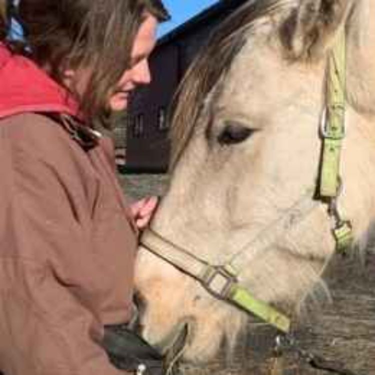 cover art for #46 Kli, Klapp eller Kandy?