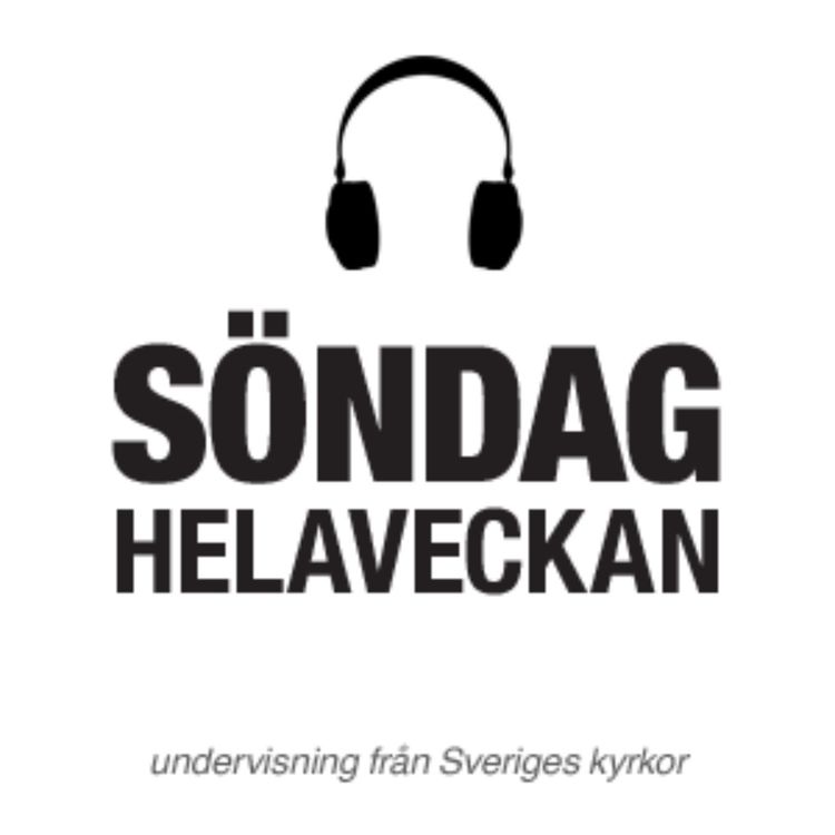 cover art for Ett nådens år - Första advent