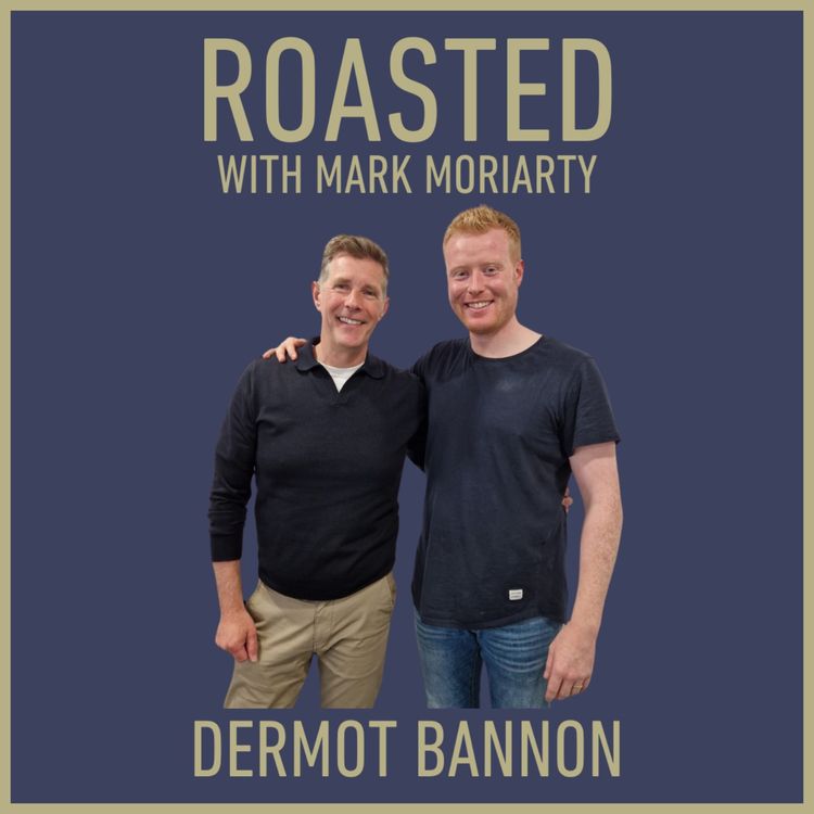 cover art for Dermot Bannon