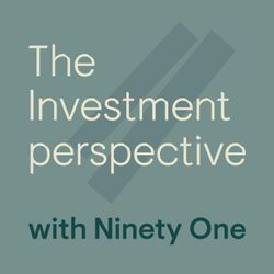 cover art for The Investment Perspective, with Ninety One