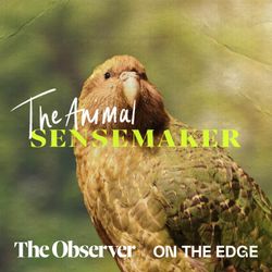 cover art for The Animal Sensemaker