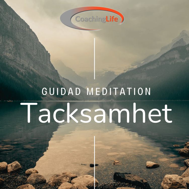 cover art for Guidad Meditation för Tacksamhet