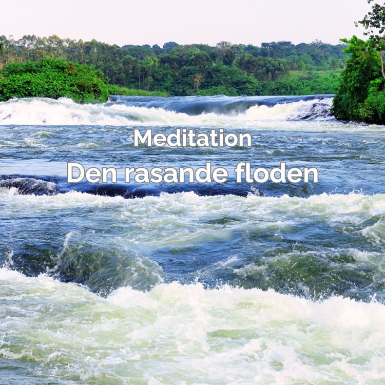 cover art for Meditation-Den rasande floden