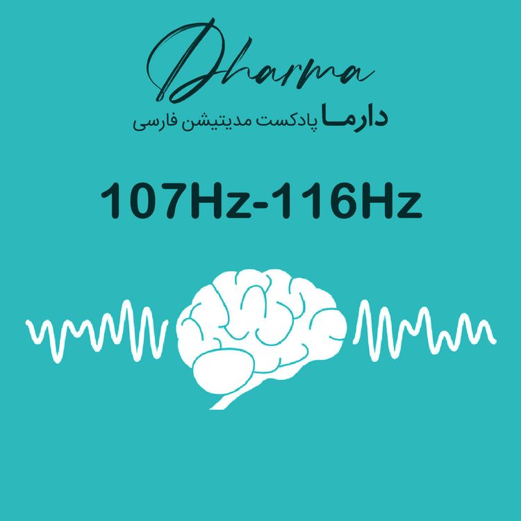 cover art for 107Hz - 116Hz