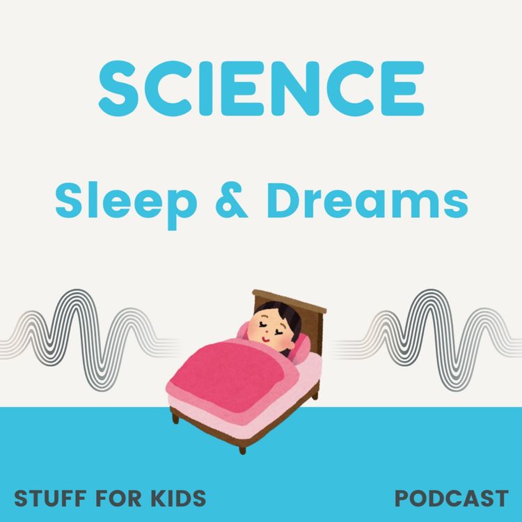 cover art for Sleep & Dreams