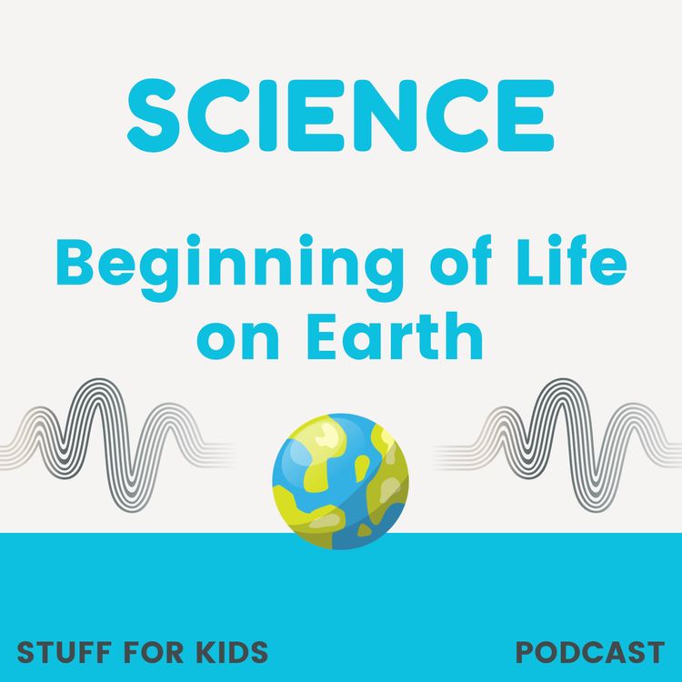 cover art for Beginning of Life on Earth