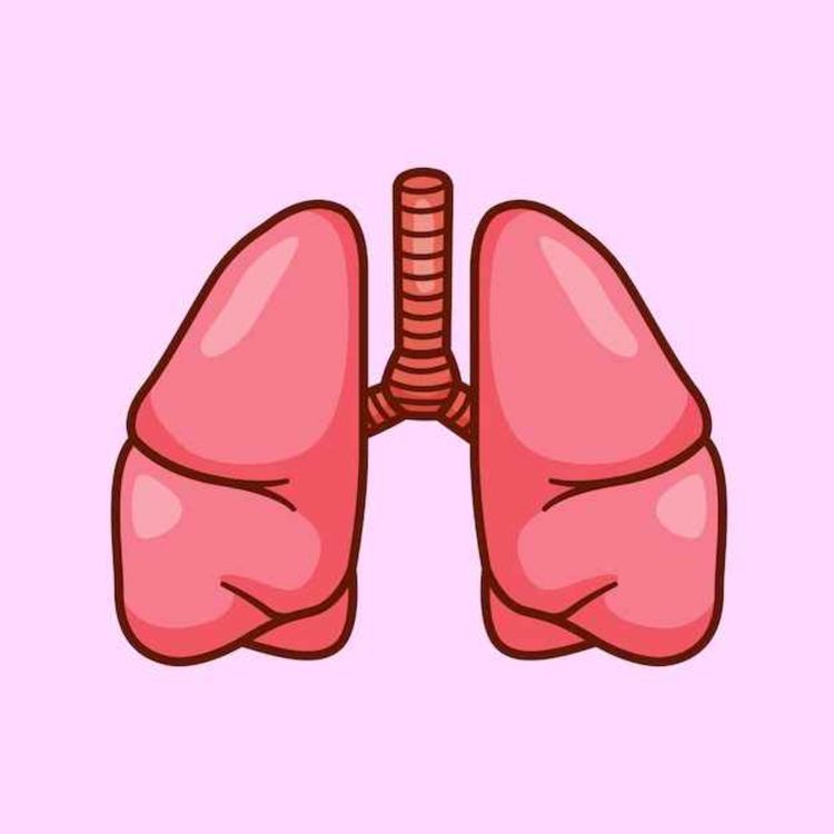 cover art for Unraveling the Respiratory System