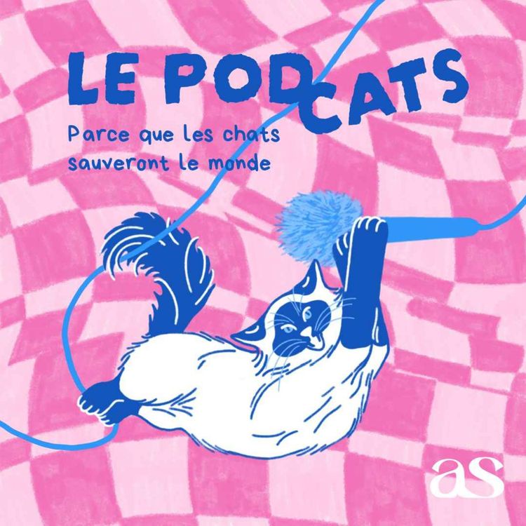 cover art for Stephanie Aulestia
