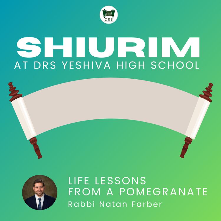 cover art for Rabbi Natan Farber: Life Lessons from a Pomegranate