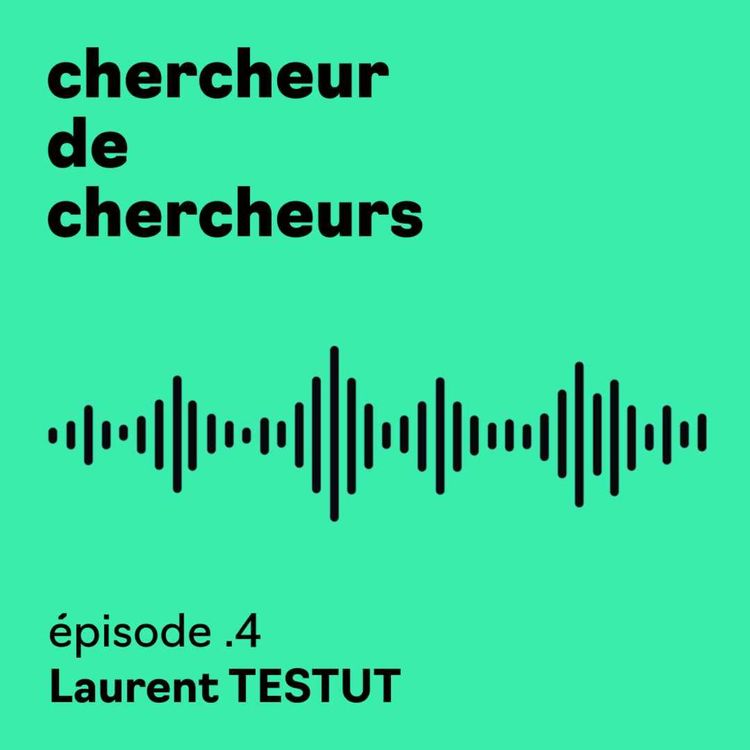 cover art for [Chercheur de chercheurs] - Laurent TESTUT