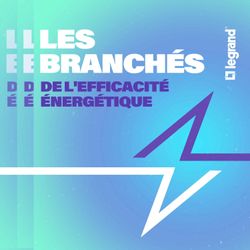cover art for Les branchés de l'efficacité énergétique