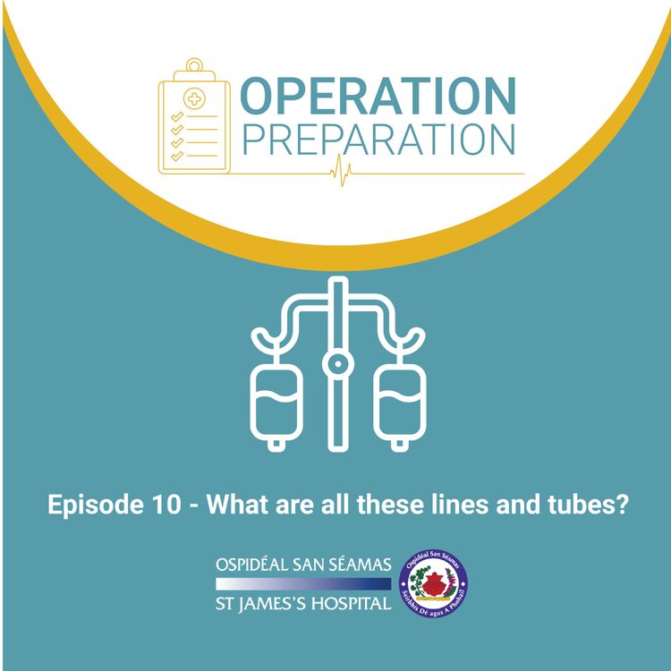 cover art for Episode 10 - What are all these lines and tubes?