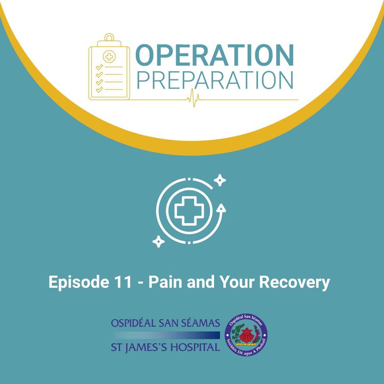 cover art for Episode 11 - Pain and Your Recovery