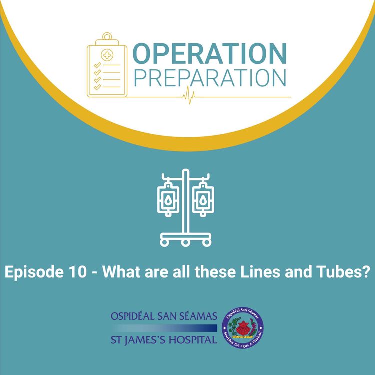 cover art for Episode 10 - What are all these Lines and Tubes?