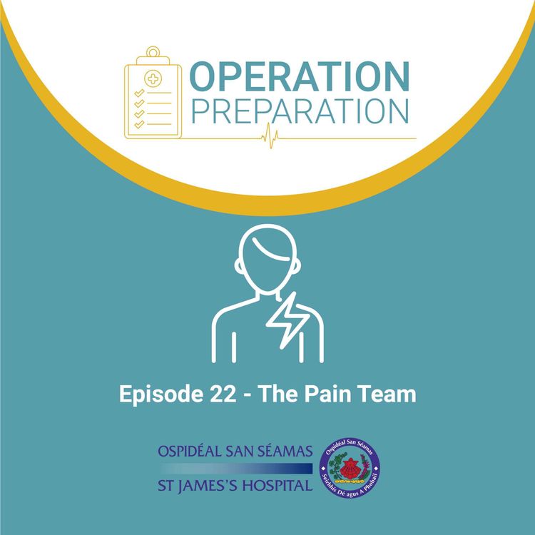 cover art for Episode 22 – The Pain Team