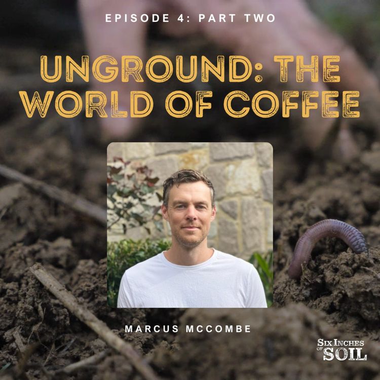 cover art for Unground: The World of Coffee (Part Two)