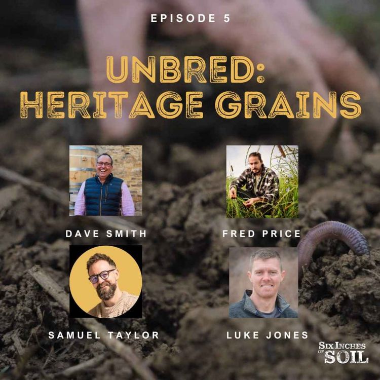 cover art for Unbred: Heritage Grains