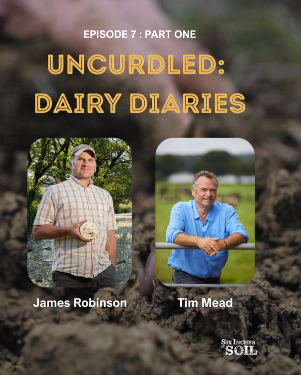 cover art for Uncurdled: Dairy Diaries
