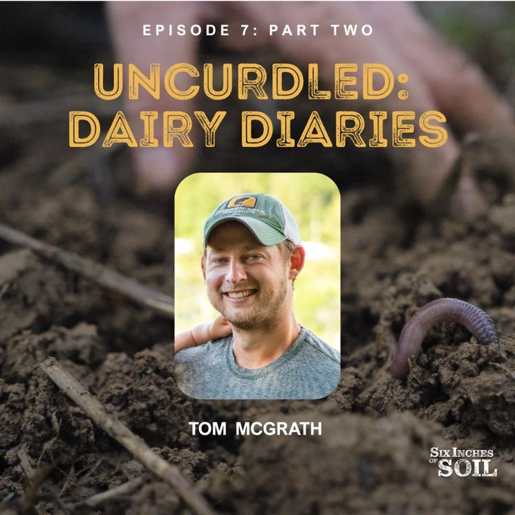 cover art for Uncurdled: Dairy Diaries (part 2)
