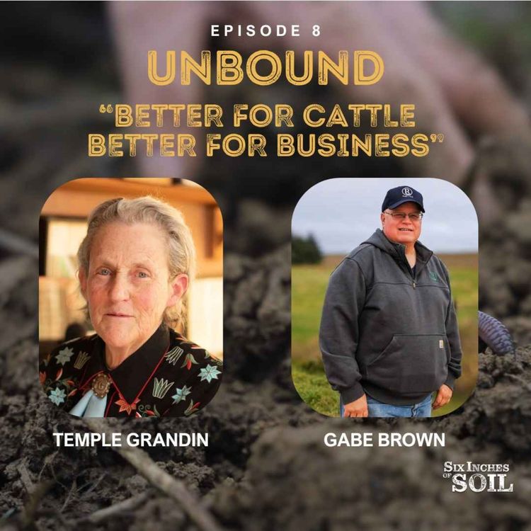 cover art for Unbound: Better for Cattle, Better for Business