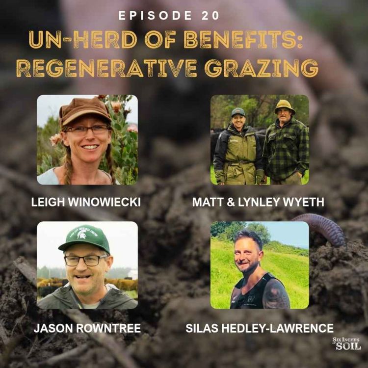cover art for Un-Herd of Benefits: Regenerative Grazing restores soil health
