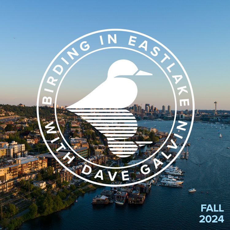 cover art for Birding In Eastlake - Fall 2024