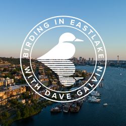 cover art for Birding in Eastlake