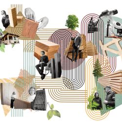 cover art for The Future of Timber