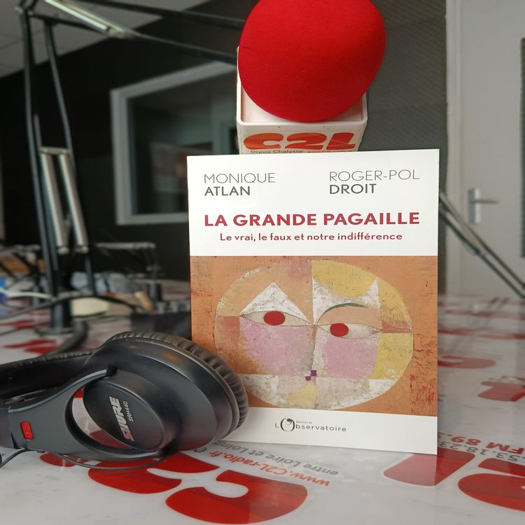cover art for Des Livres et Vous - Catherine ATLAN et Roger Pol-Droit _ La grande pagaille