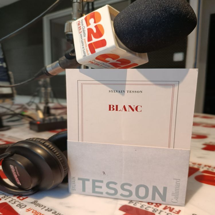 cover art for Des Voix à Lire – Blanc, par Sylvain Tesson