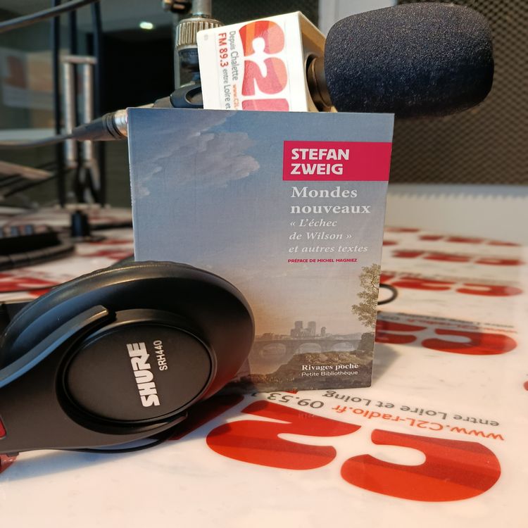 cover art for Des Voix à Lire - Zweig Les pêcheurs au bord de la Seine