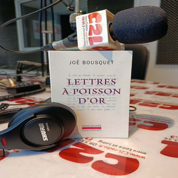 cover art for Des Voix à Lire - Lettre à Poisson d'OR_Joe Bousquet