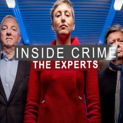 cover art for Inside Crime The Experts podcast