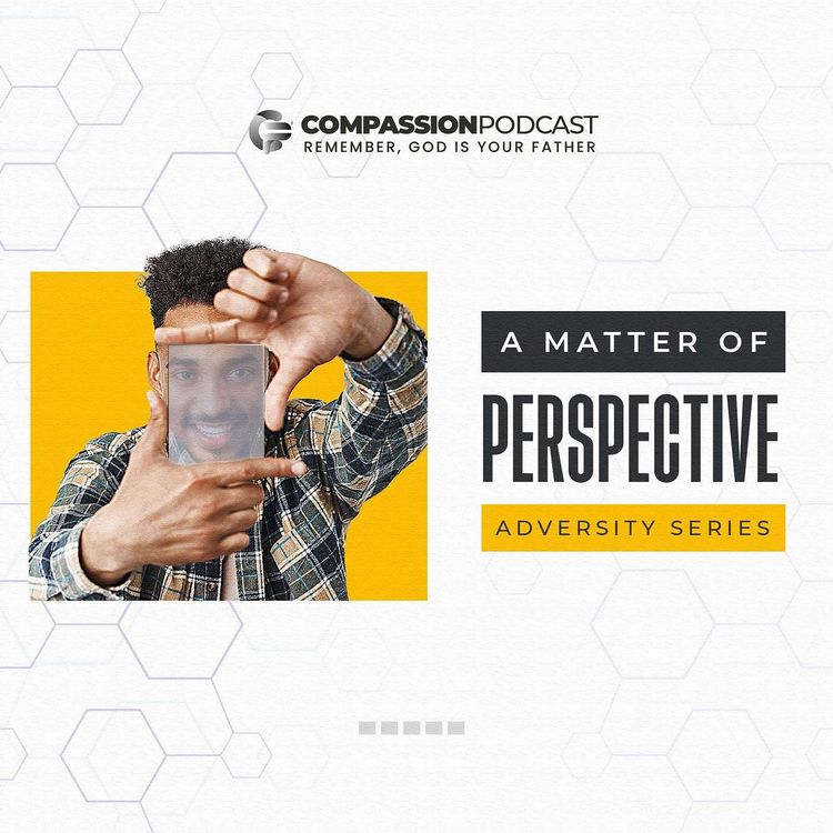 cover art for A Matter Of Perspective (Adversity 11)
